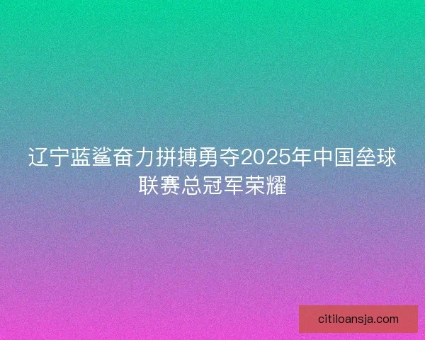 辽宁蓝鲨奋力拼搏勇夺2025年中国垒球联赛总冠军荣耀