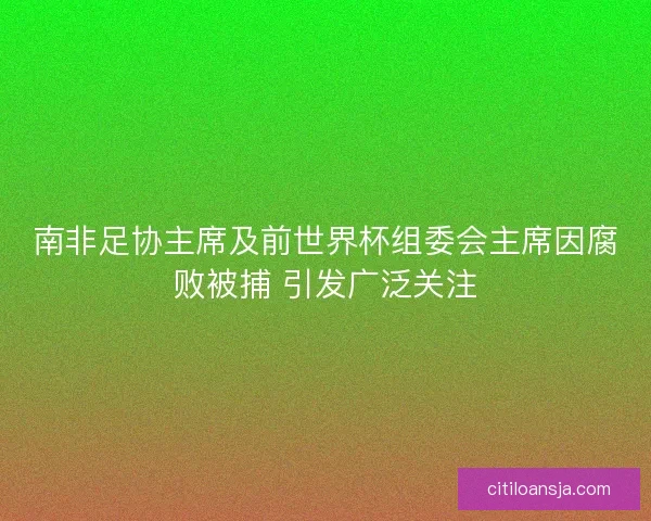 南非足协主席及前世界杯组委会主席因腐败被捕 引发广泛关注